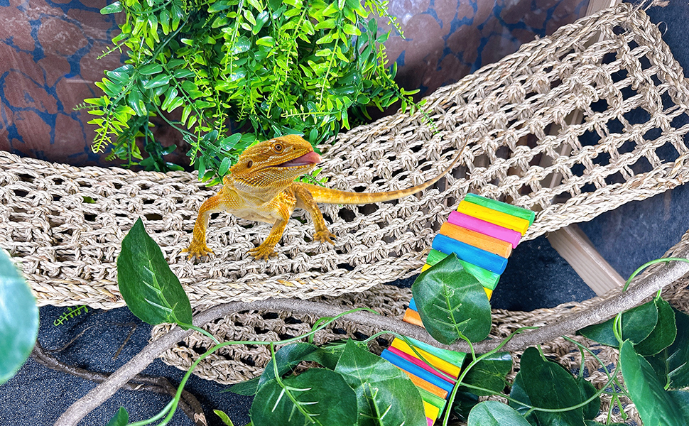 Bearded Dragon Hammocks