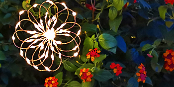Outdoor Solar Garden Lights 