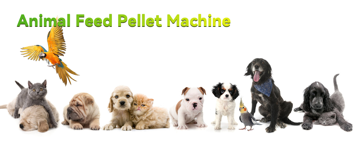 Electric Animal Feed Food Pellet Machine