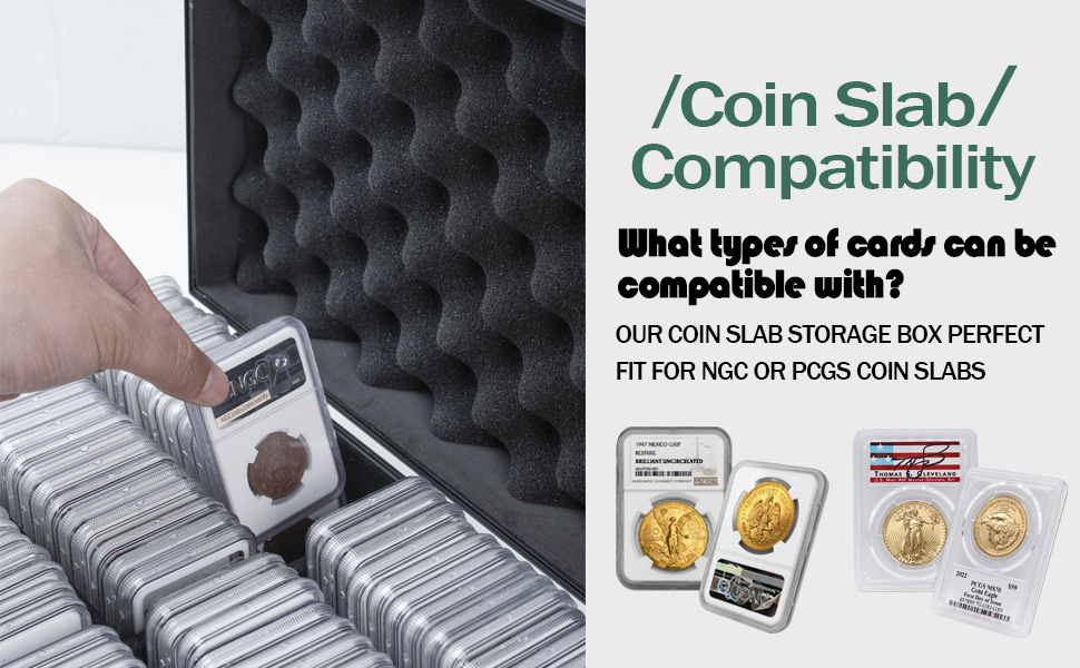 DRZERUI Graded Coin Storage Box Graded Coin Case fit for