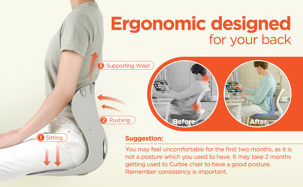 [Curble Grand] Ergonomic Back Support Chair, Lumbar Support