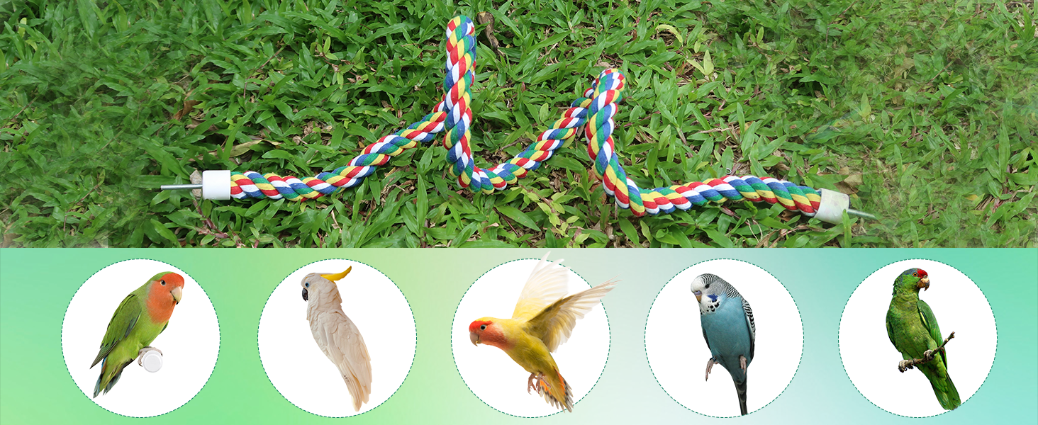 Suitable birds bird ropes for cages