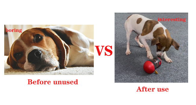 dog toys to keep them busy