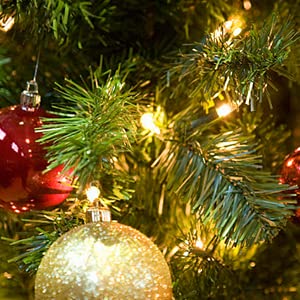 battery operated christmas lights