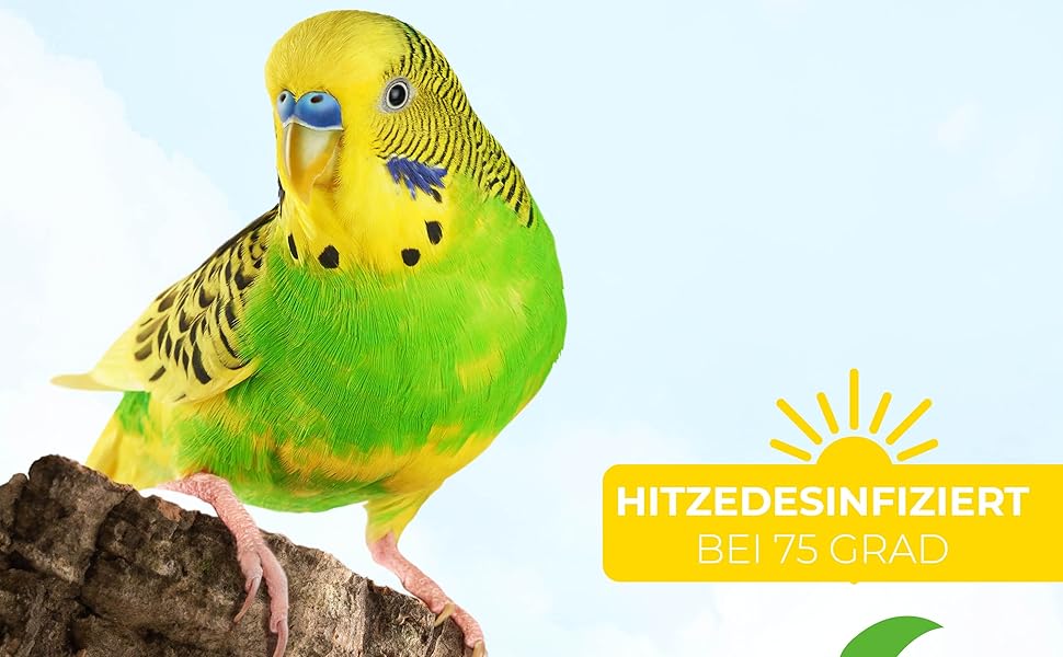Der Vogel ist ein Weltvogel