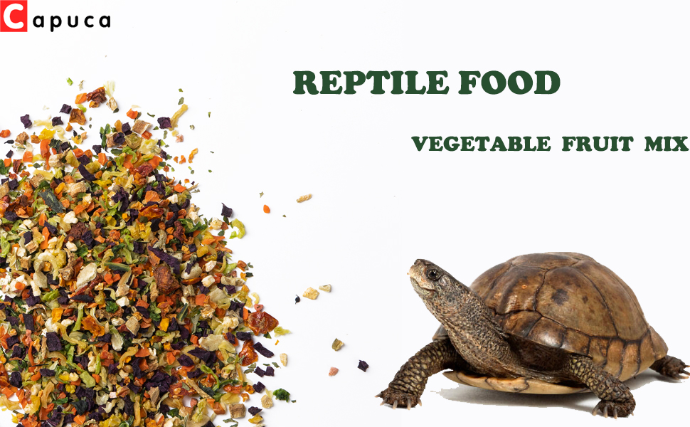 reptile food