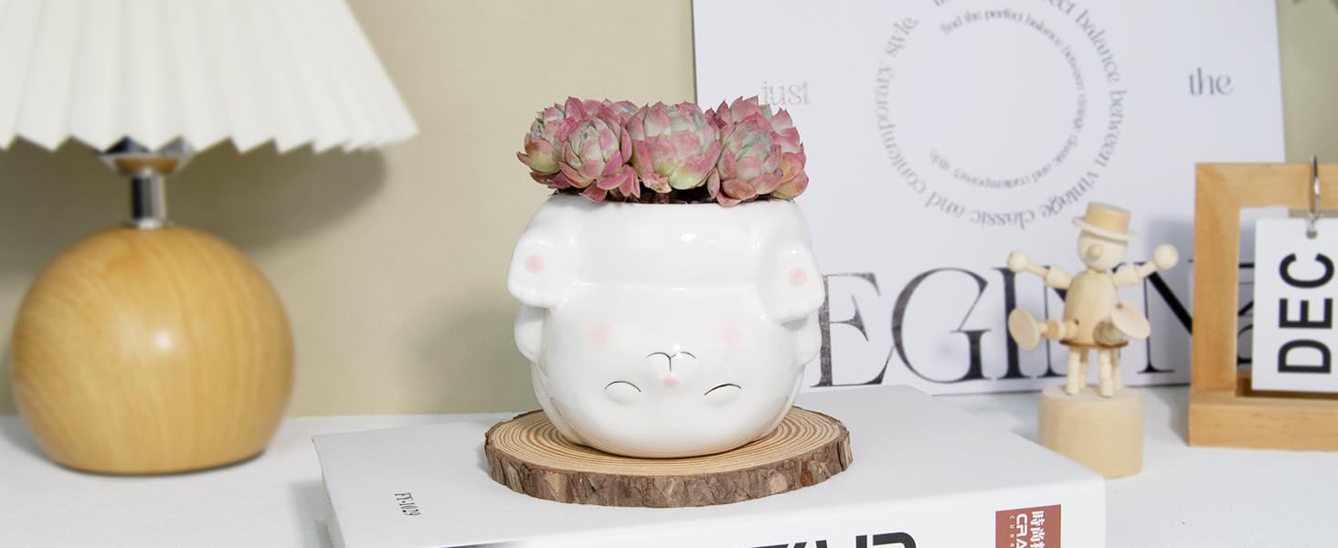 Cute Animal Ceramics Planter