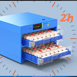Eggs Automatic Egg Incubator