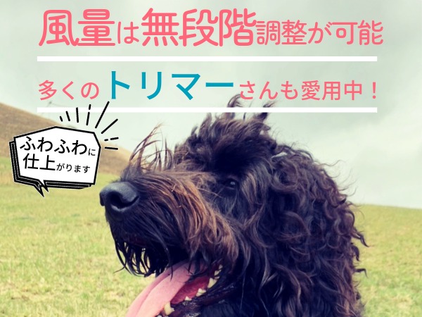 DOG A One ペット用ドライヤー Amazon.co.jp: DOG One ペットドライヤー 犬 ブロワー 業務用