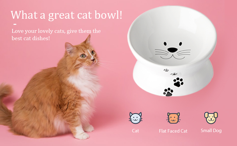 Cat Food Bowls, 10 OZ Elevated Cat Bowls for Cats and