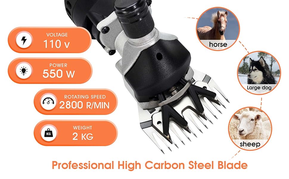 sheep shears for dogs