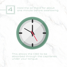 cbd absorption