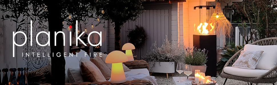 Faro Header with Logo