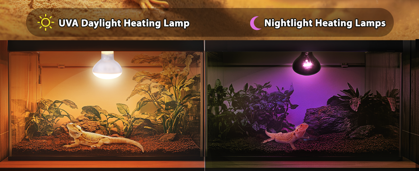 heat lamp reptile heat lamp heat lamp bulbs reptile heat bulb heat bulb heat lamp bulb