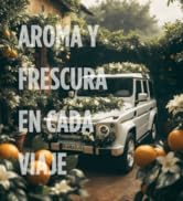 Aromatizante Ambientador para Auto Vehiculo Carro 