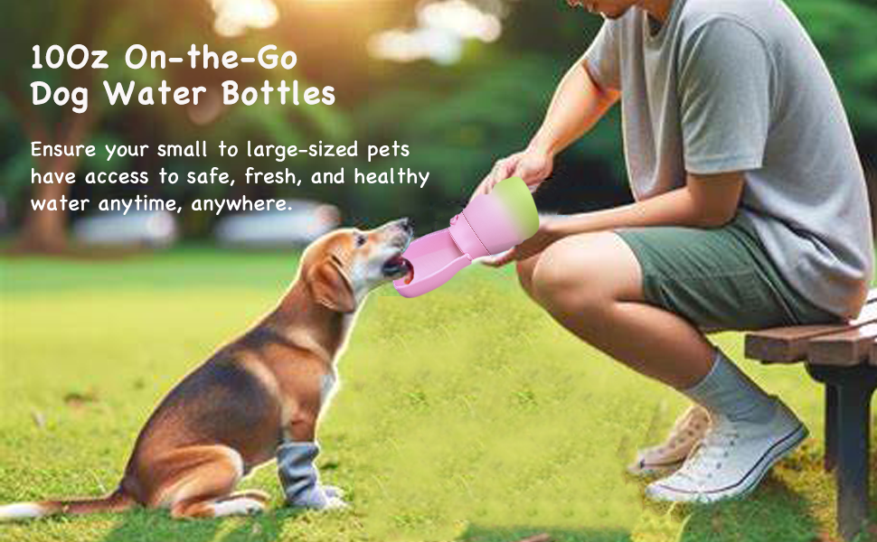 dog water bottle