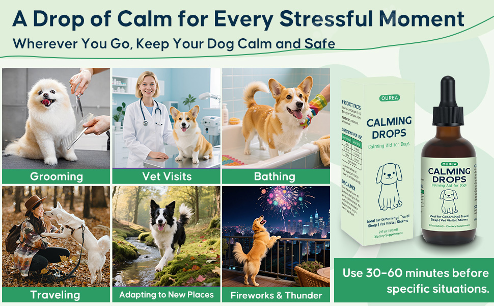 dog calming supplements with melatonin