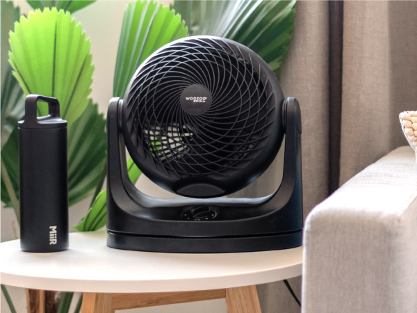 woozoo fans, iris fan, woozoo fan