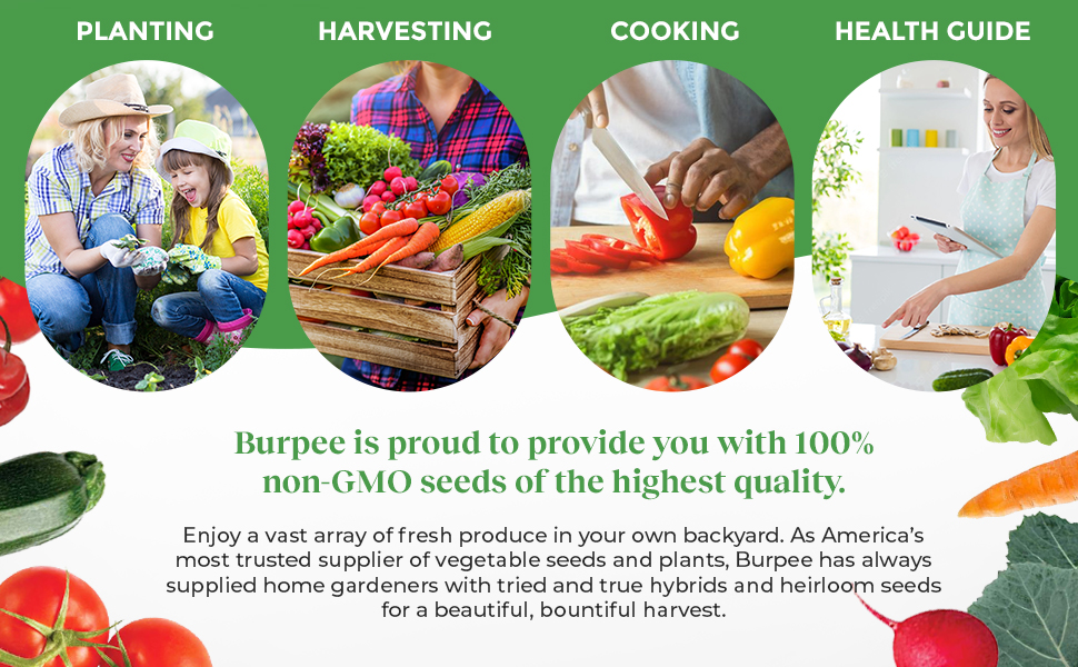 Burpee Heirloom Vegetable Seeds, Variety Pack with 35