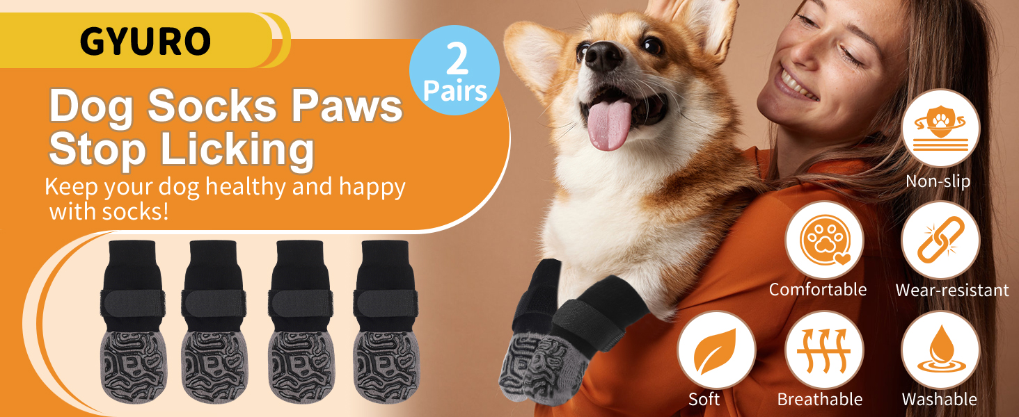 dog socks paws stop licking