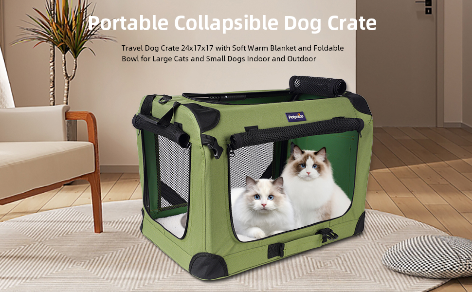 large cat carrier
