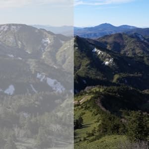 Sony a1 Mirrorless Camera