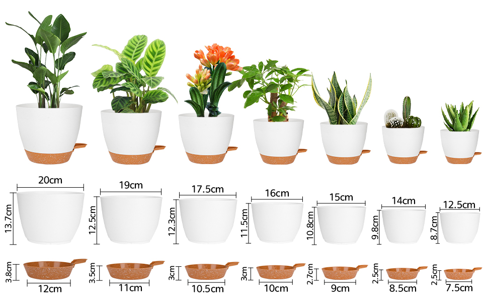 plant pot