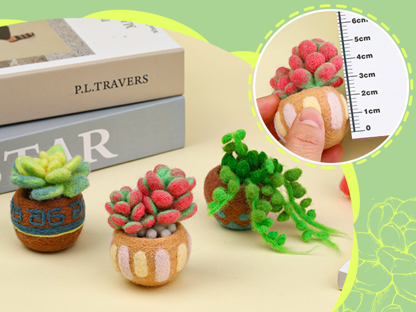 Succulent Wool Felting Kit
