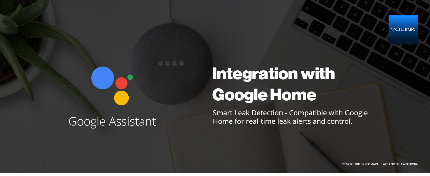 Integration with Google Home
