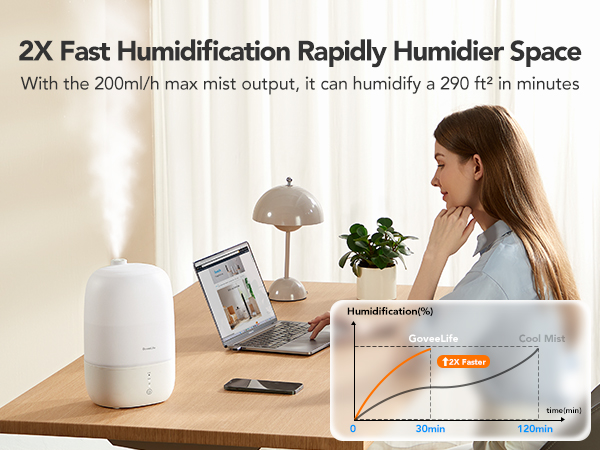 GoveeLife Replacement Filter Case for H7140 Smart Humidifier