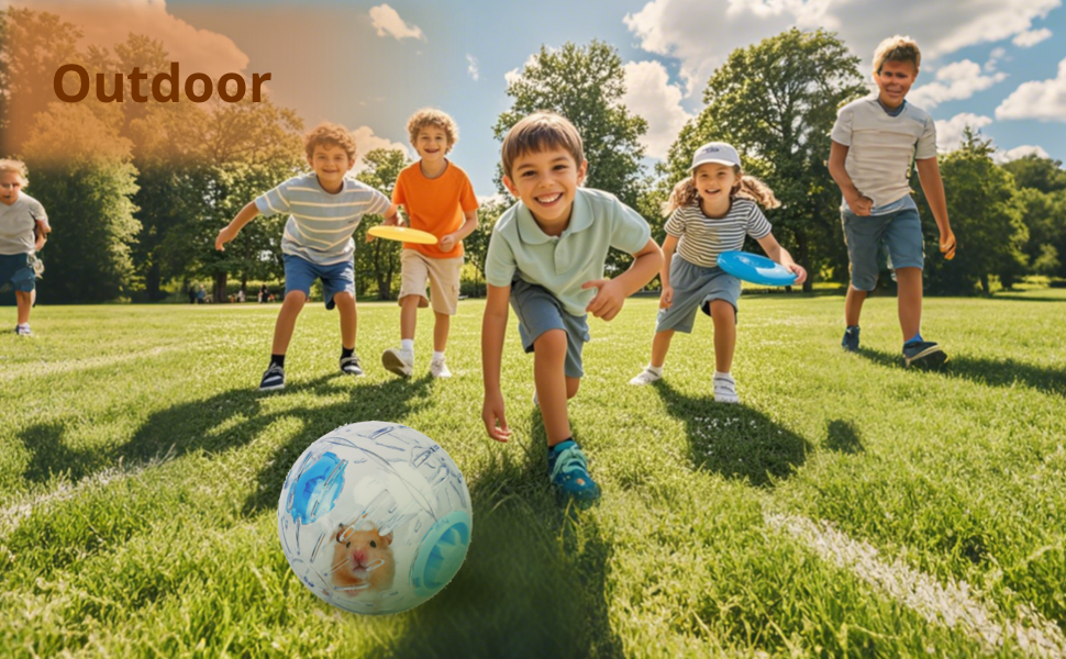 4.9" Hamster Wheel,Exercise Ball & Wheel... 17 hamster running ball  5.9inch