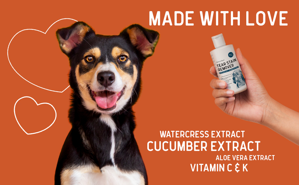 Chew + Heal Labs Tear Stain Remover for Dogs and Cats 4