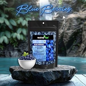 NurtureTree Premium BlueBerries 400gm