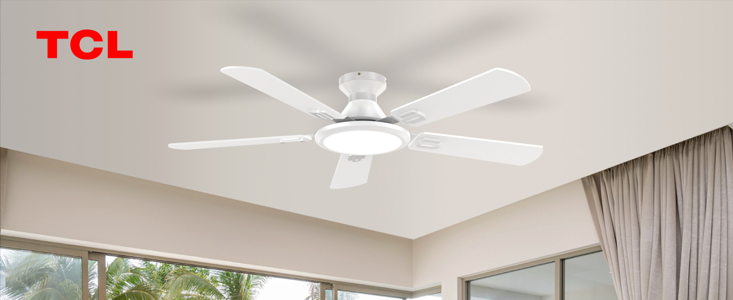 white fan