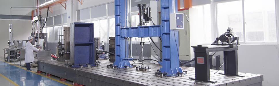 Struts Shock Assembly