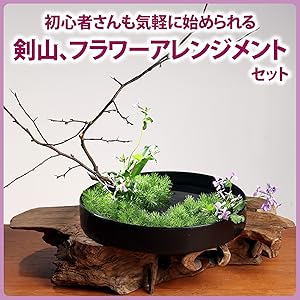 Amazon | ZERONOWA フラワーアレンジメントセット 花器 剣山 矯正器