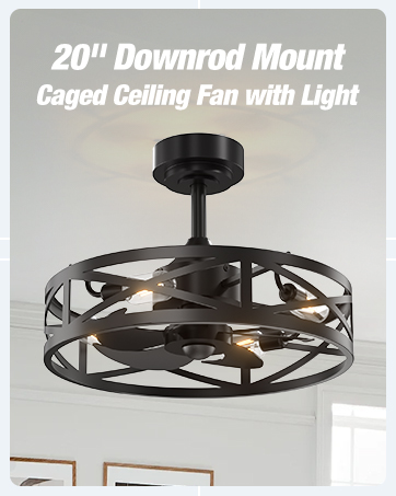 20" Downrod Mount Caged Ceiling Fan with Light