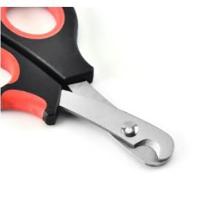 for Tiny Dog Bunny Rabbit