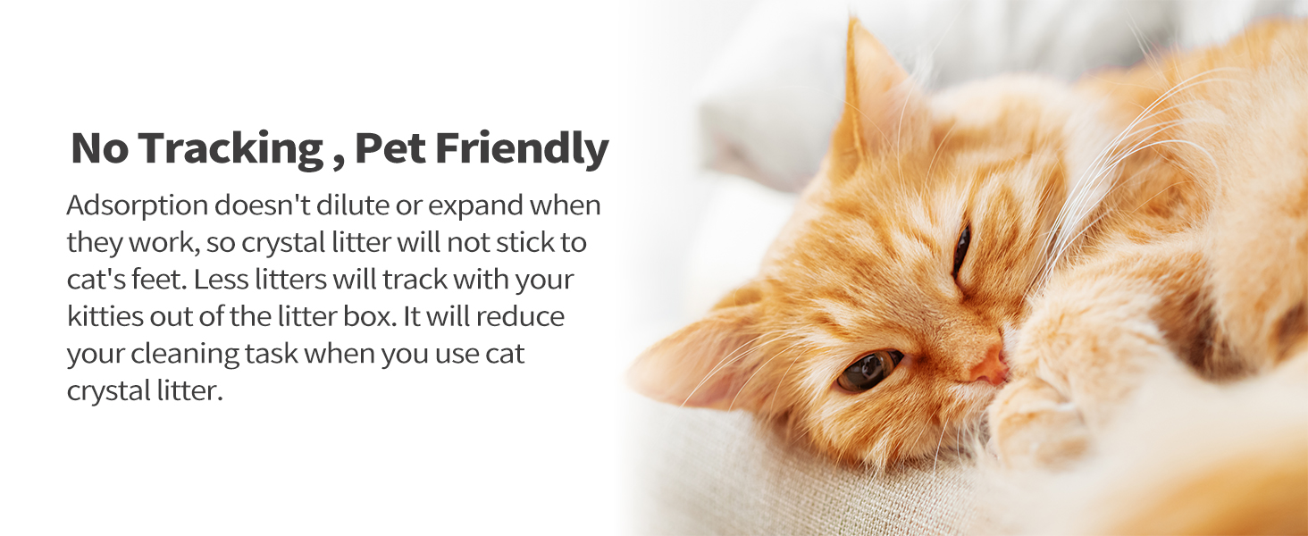 no clumping cat litter