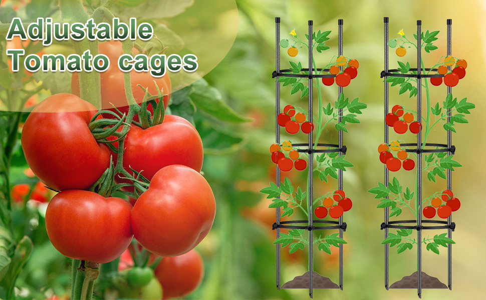 Tomato Cage