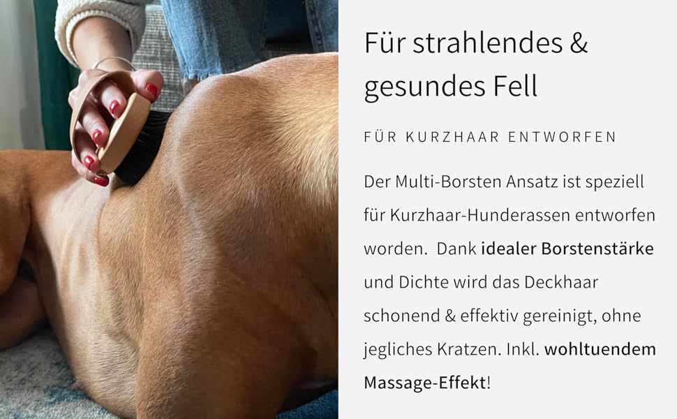 BUDDY BRUNO Hundebürste Kurzhaar mit 100% Naturborsten, Striegel für die tägliche Fellpflege