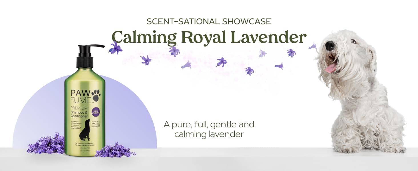 Pawfume Dog Shampoo and Conditioner Hypoallergenic Dog Shampoo for Smelly Dogs