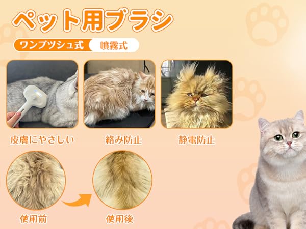 パープル猫さん専用ページ 豚さんに変身〜☆（スコティッシュフォールド）ワンにゃんLife