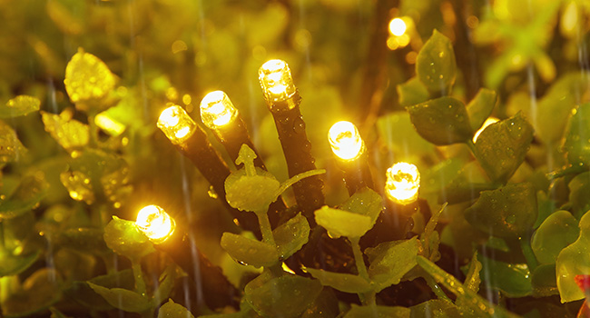 Waterproof Lights for Indoor Outdoor