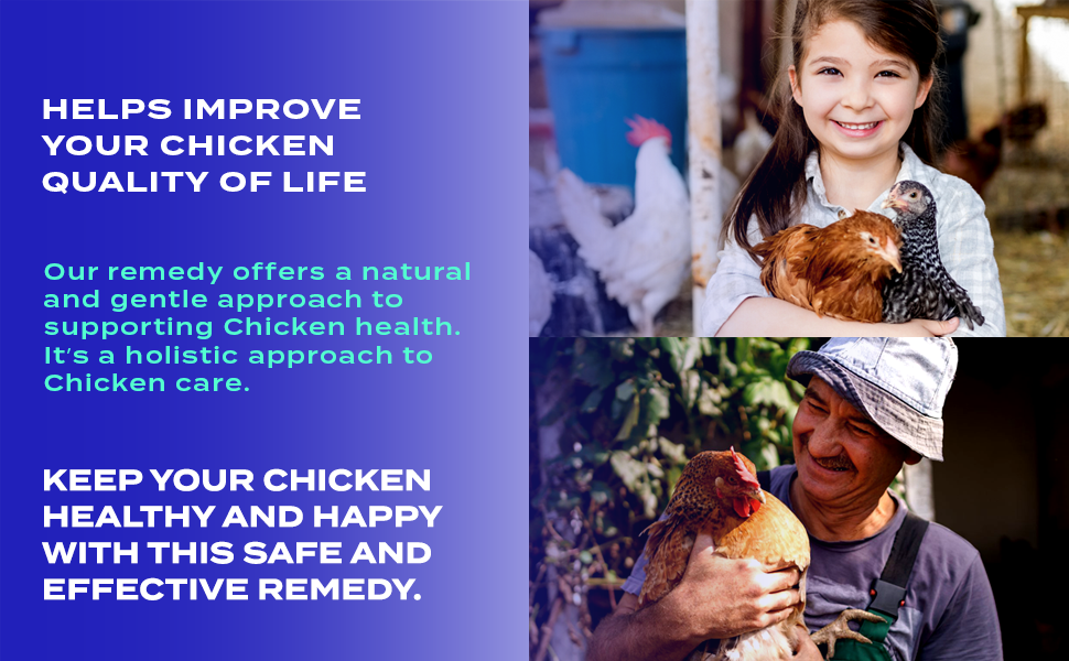 helps improve your chicken quality of life natural and gentle approach to support chicken health