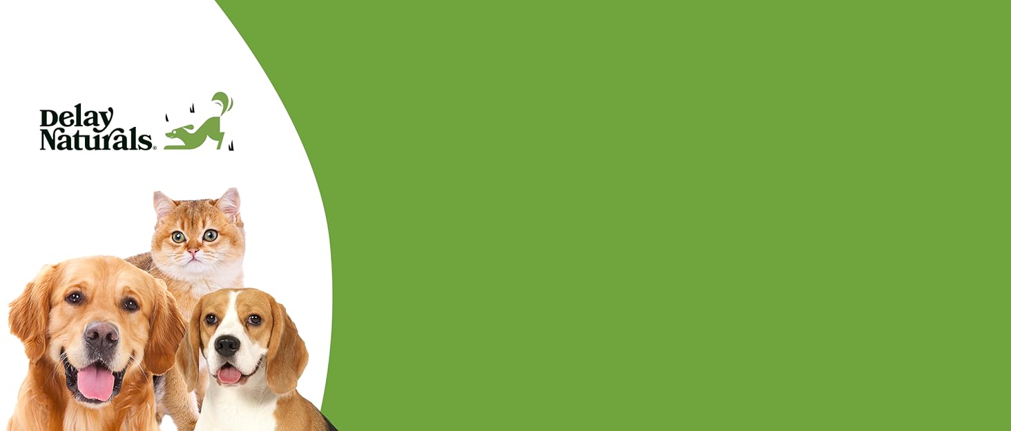 Delay Naturals Main Brand Story