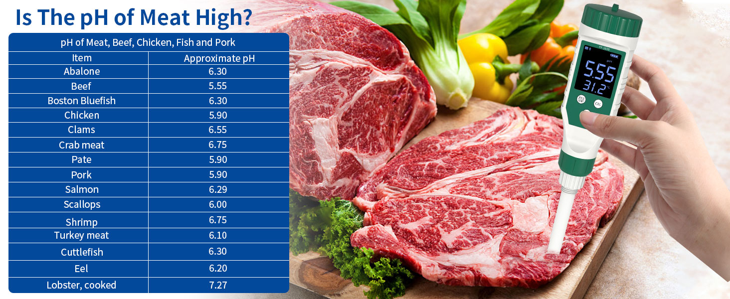 Digital pH Tester for Meat