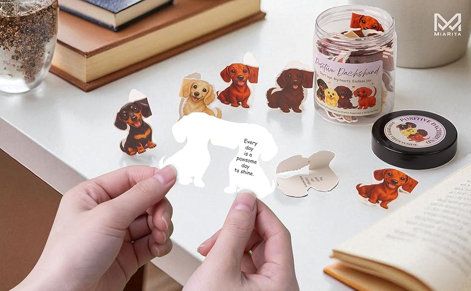 Dachshund Positive