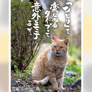ネコさんの「心にしみる」おひとりさま名言 | 籔本 正啓(ネコ