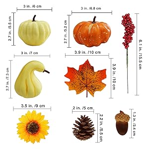 Winlyn Assorted Harvest and Baby Boo Pumpkins and Gourd